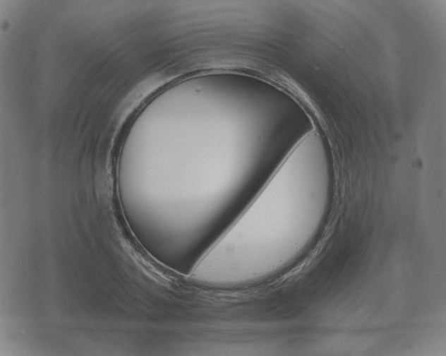 X0000073720787200608031014