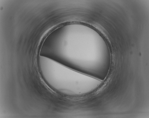 X0000073720791200608031014
