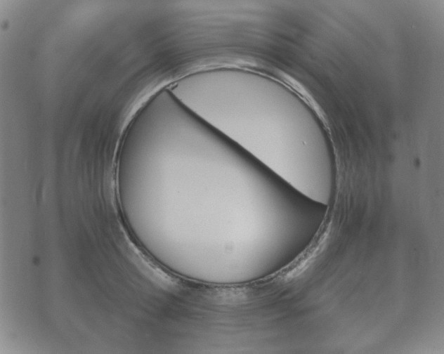 X0000073720802200608031014