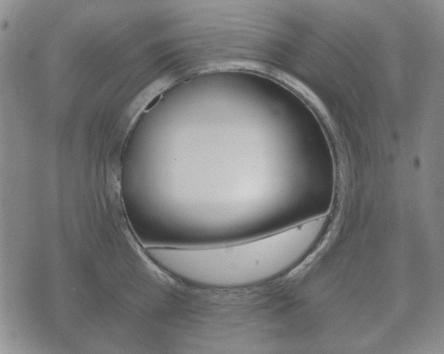 X0000073720809200608031014