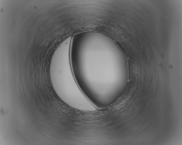 X0000073720818200608031013