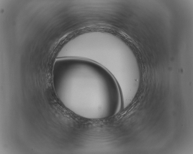 X0000073720822200608031013