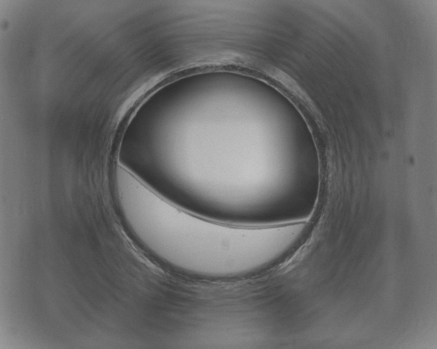 X0000073720834200608031013