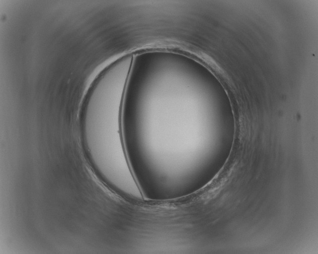 X0000073720838200608031013