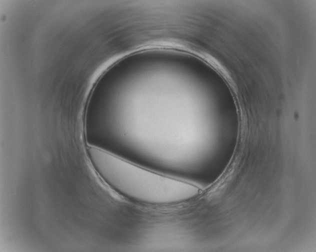 X0000073720862200608031014