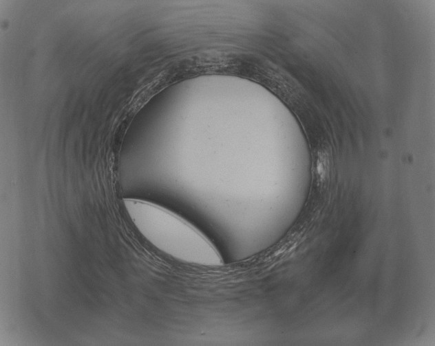 X0000073720867200608031013