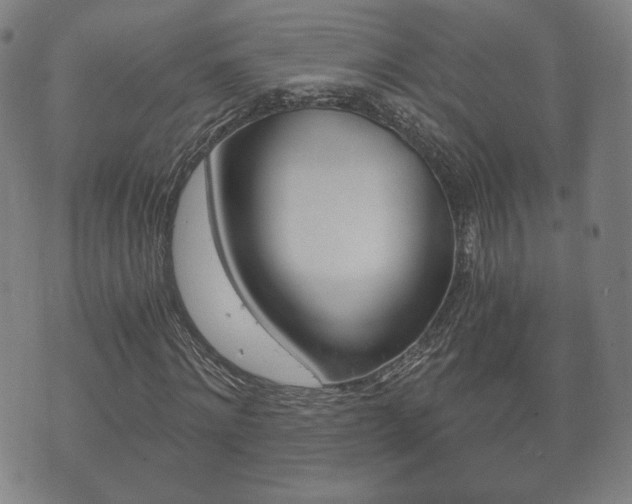 X0000073720868200608031013