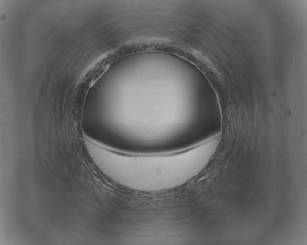 X0000073720872200608031013
