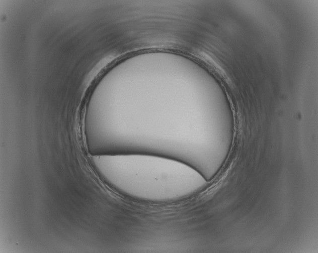 X0000073720883200608031013