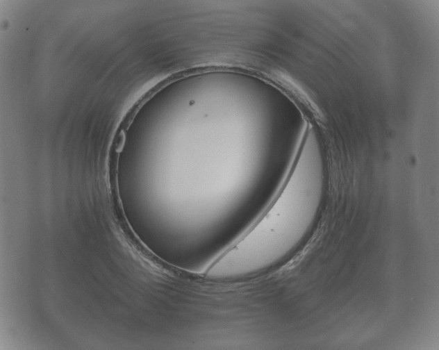 X0000073720884200608031013