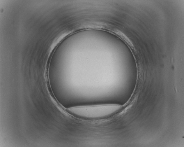 X0000073720893200608031013