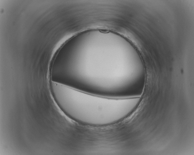 X0000073720902200608031012