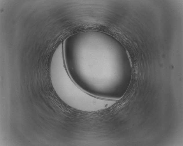 X0000073720916200608031011
