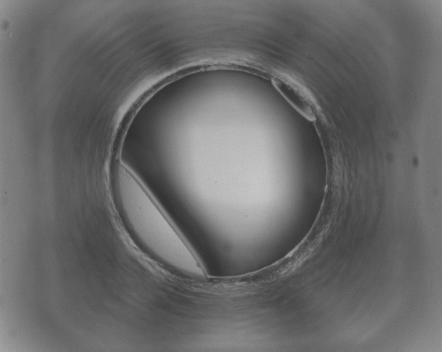 X0000073720936200608031012