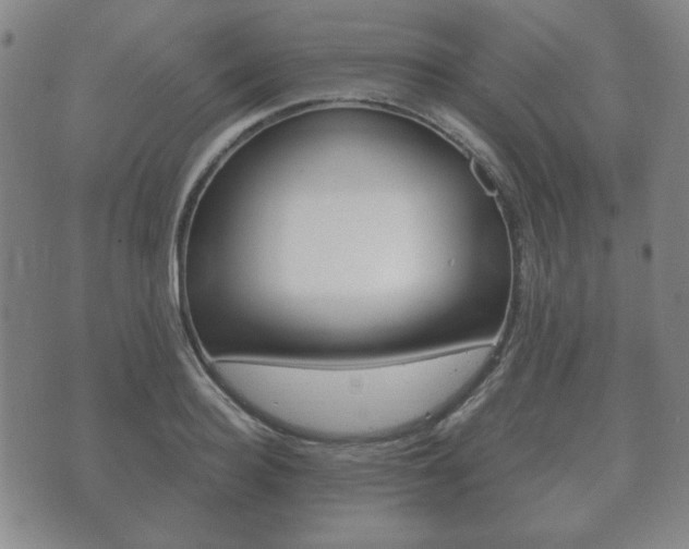 X0000073720940200608031012