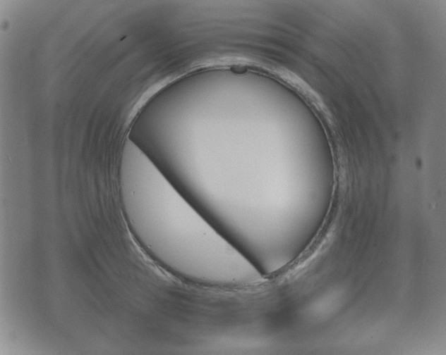 X0000073720945200608031012