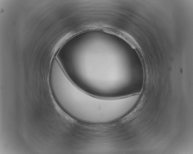 X0000073720946200608031012