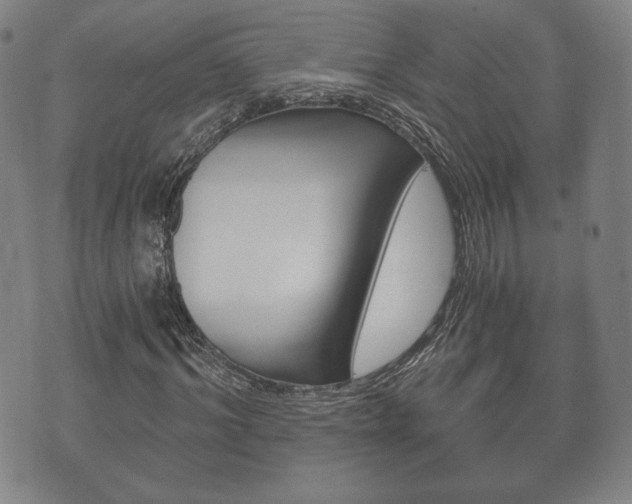 X0000073720964200608031011