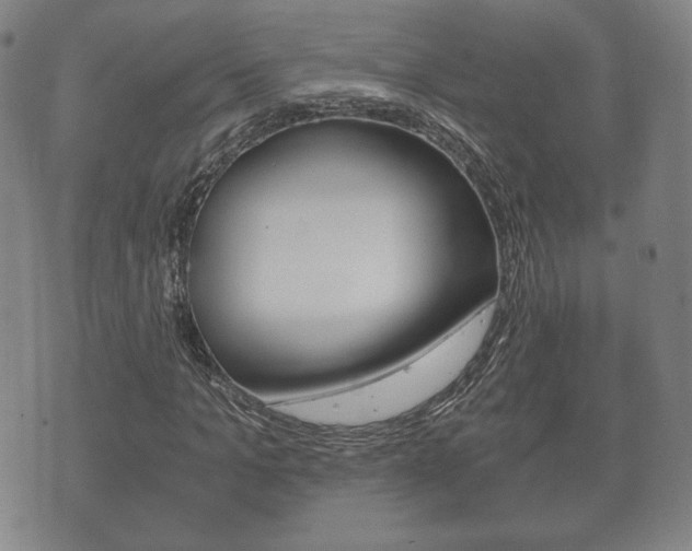 X0000073720965200608031011
