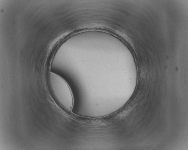 X0000073720979200608031011