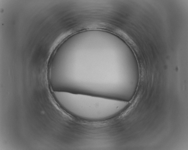 X0000073720986200608031011
