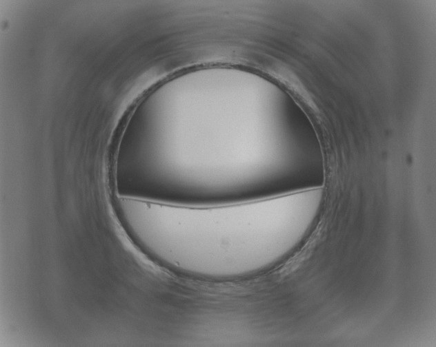 X0000073720991200608031011