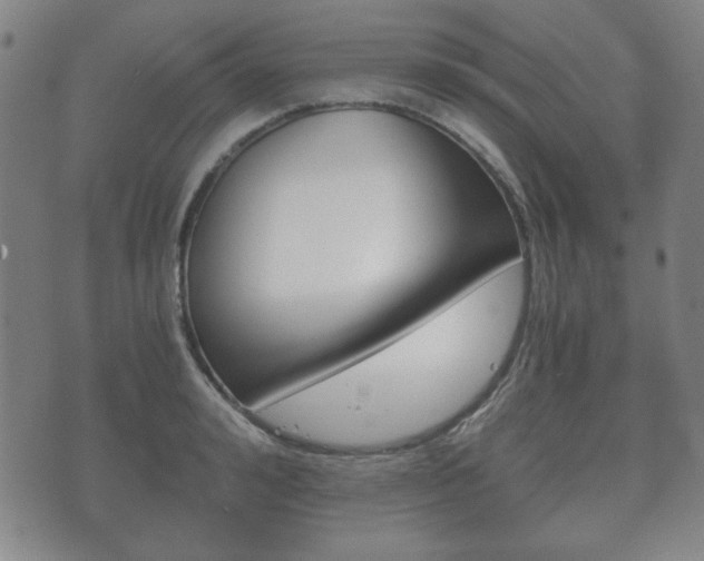 X0000073720992200608031011