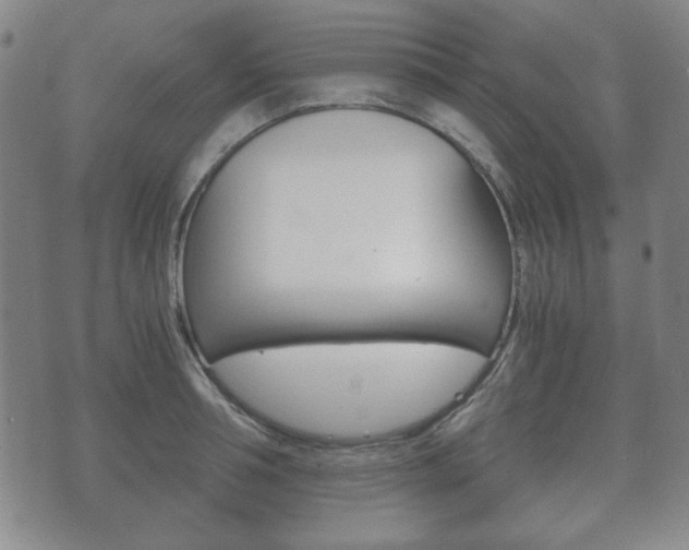 X0000073720994200608031011