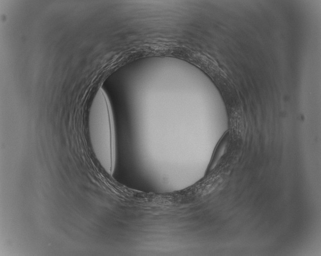 X0000073721009200608031010