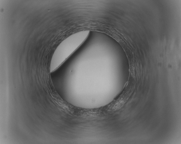 X0000073721010200608031010
