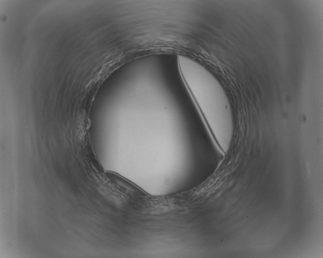 X0000073721012200608031010
