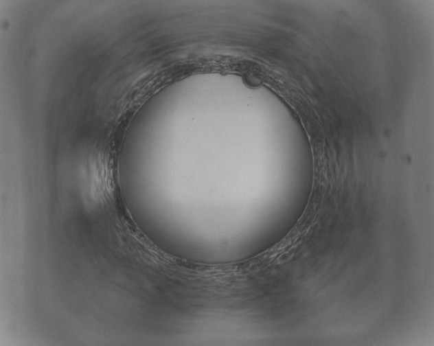X0000073721013200608031010