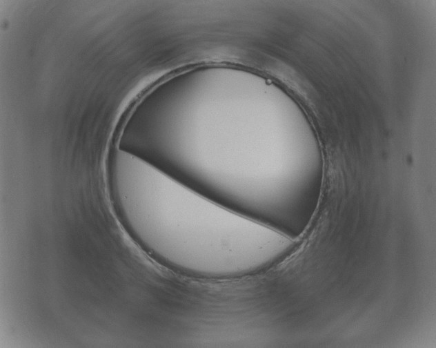 X0000073721032200608031010