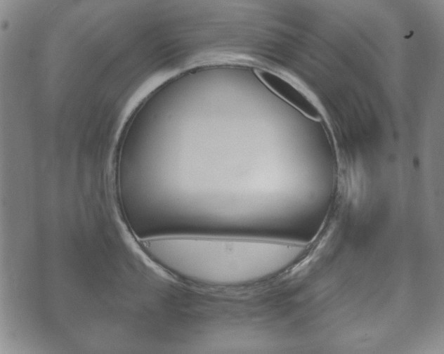 X0000073721053200608031011
