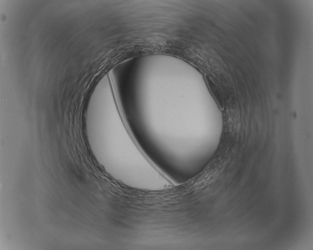 X0000073721057200608031010