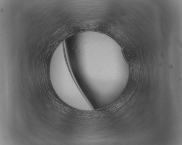 X0000073721058200608031010