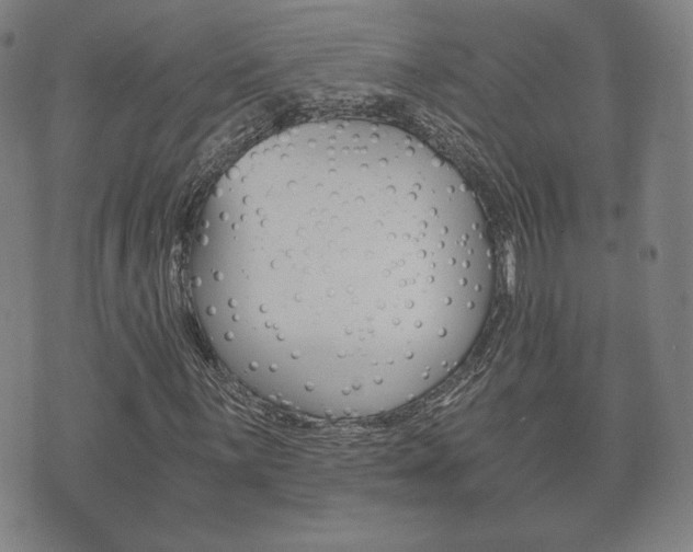 X0000073721059200608031010