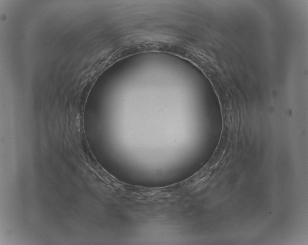 X0000073721061200608031010