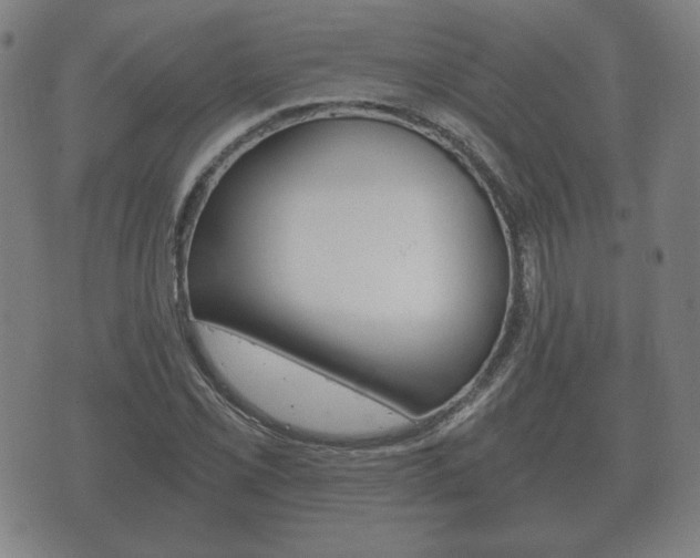 X0000073721069200608031010