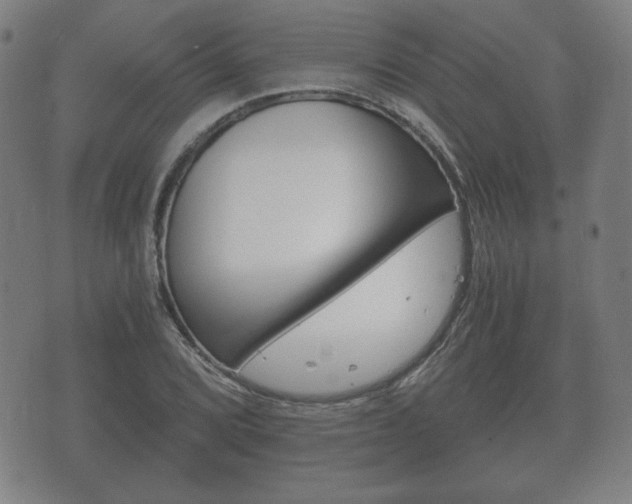 X0000073721072200608031010