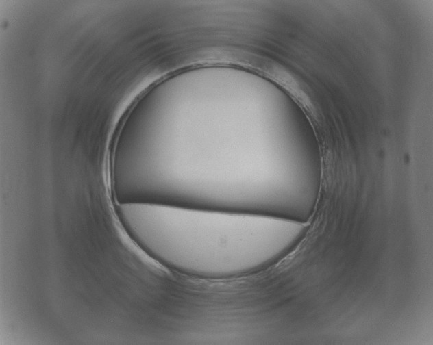 X0000073721084200608031009
