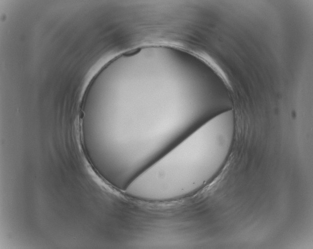 X0000073721100200608031009