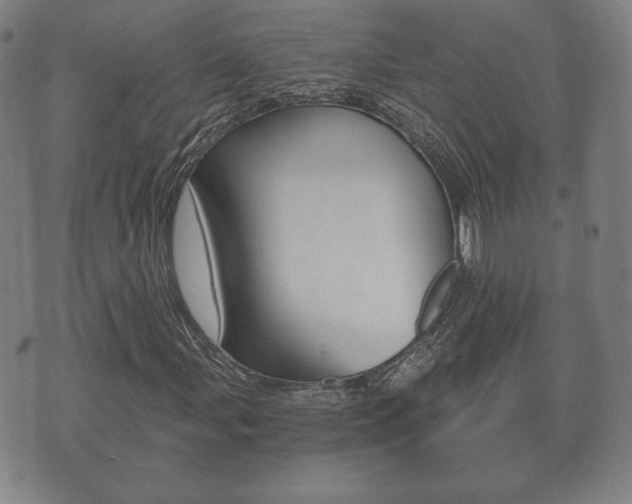 X0000073721107200608031008