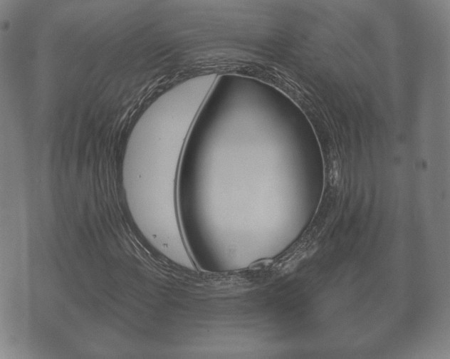 X0000073721108200608031008