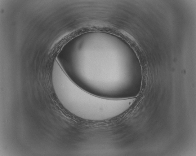 X0000073721112200608031008