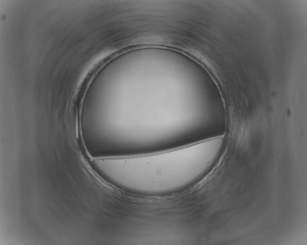 X0000073721123200608031009
