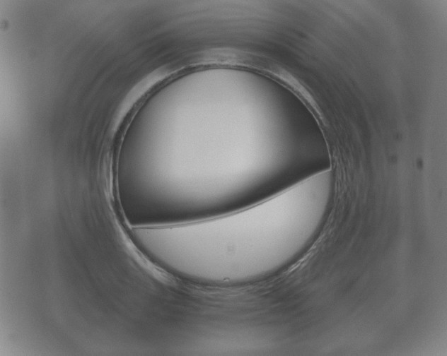 X0000073721131200608031009