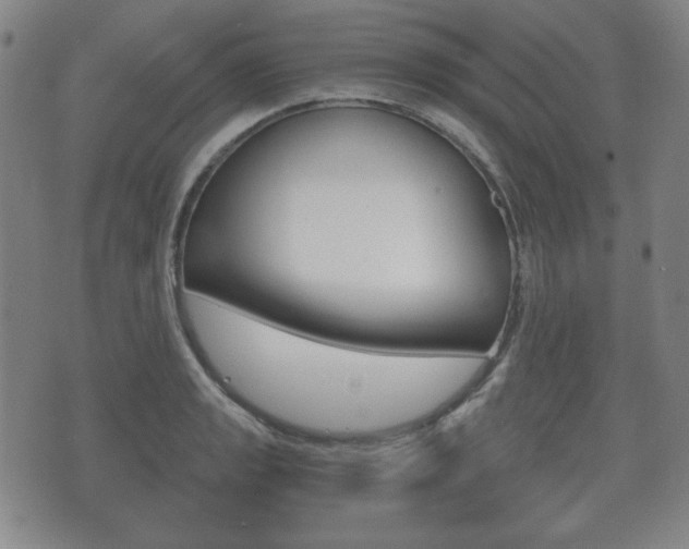 X0000073721133200608031009