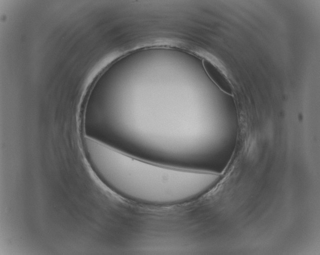 X0000073721135200608031009