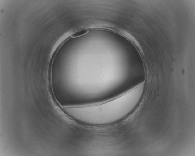 X0000073721138200608031009